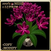 LW_JapaneseBallonFlowersWhite