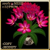 LW_ Tulips in Pot - Bright Pink (1 LI / Prim)