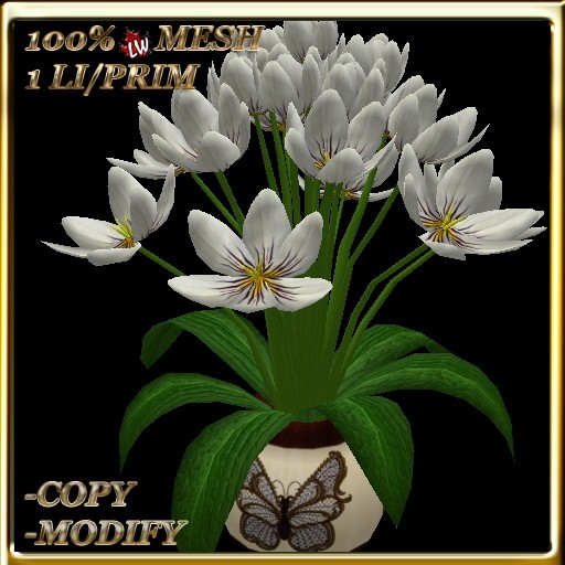 LW_ Tulips in Pot - White (1 LI / Prim)