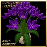 LW_JapaneseBallonFlowersWhite