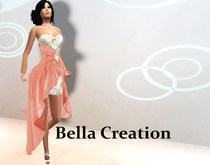Bella Creation Mesh Abend Kleid Aprico Farbe