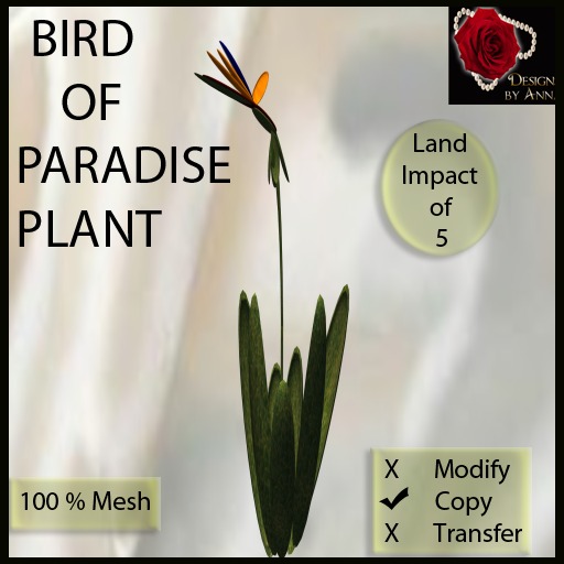 MESH BIRD OF PARADISE PLANT