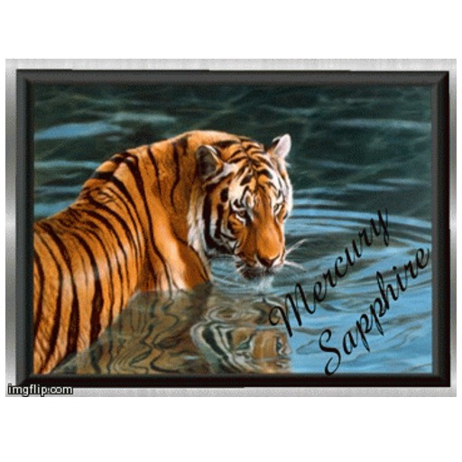 Moving Water Picture 010 Animated Picture