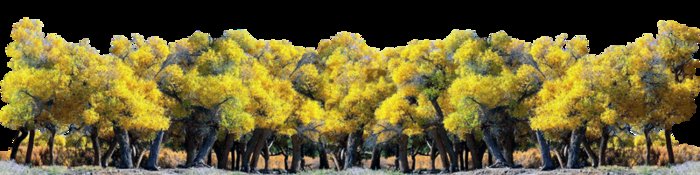 KMR-Forest landscaping screen  yellow TEXTURES