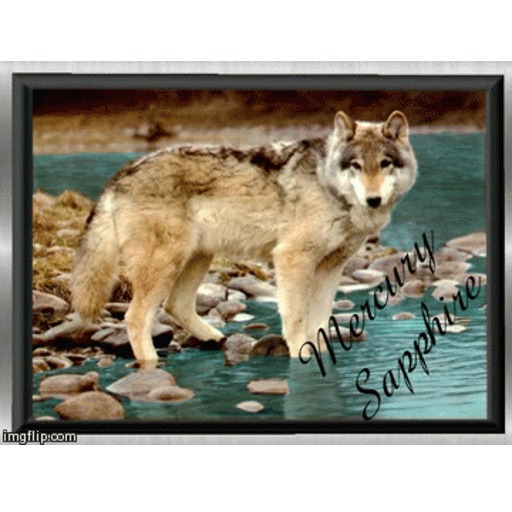 Moving Water Picture 018