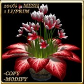 LW_JapaneseBallonFlowersWhite