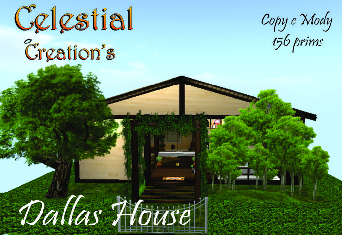 DALLAS HOUSE 
