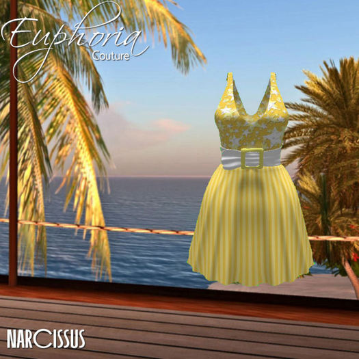 EC - Narcissus - Yellow