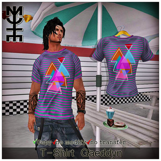 T-Shirt Gaeddyn