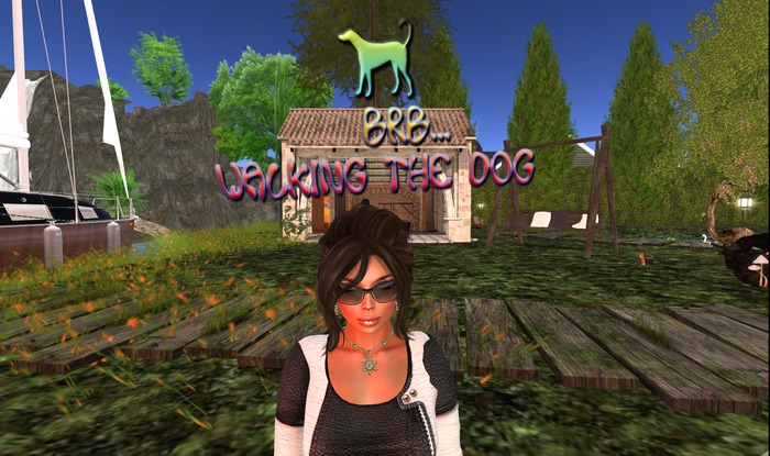 BRB Walking The Dog