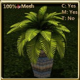 LW_ Palm Tree Mesh - 1