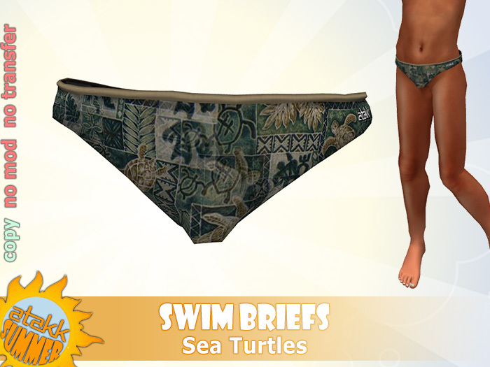 Sea Turtle Small Swim Briefs May2014