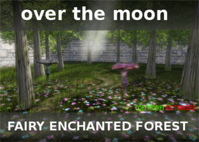 fairy enchanted forest over the moon