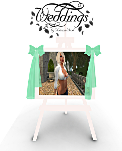 Wedding Slideshow Easel - Mint Green - Mod & Trans