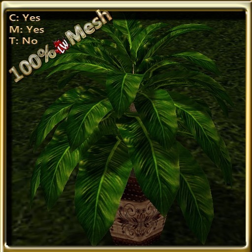 LW_ Mesh Palm in Pot - 9