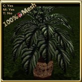 LW_ Mesh Palm in Pot - 10