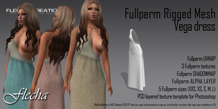 FLECHA Vega Dress Fullperm