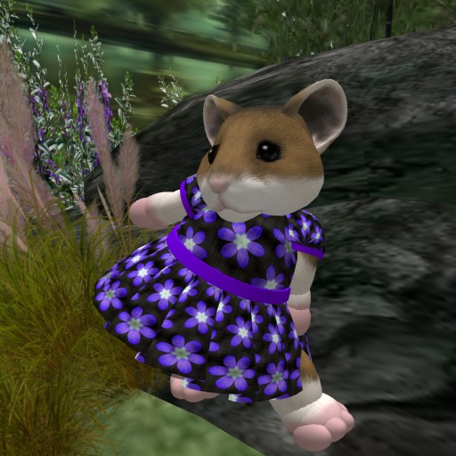 Feather's Designs -Purple Daisy