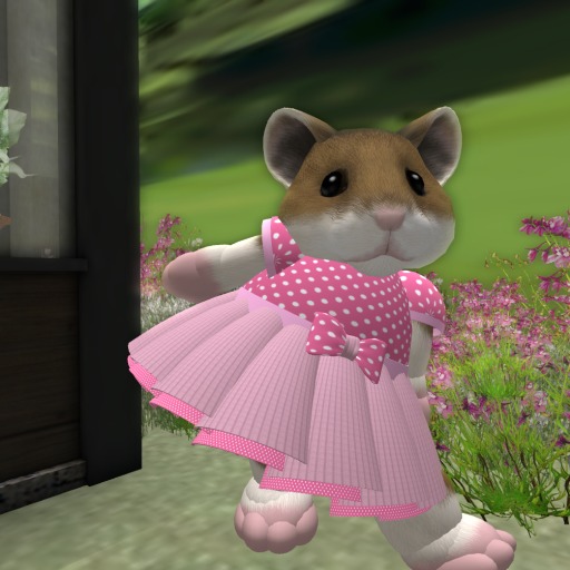 Feather's Designs -PolkaDot Pink