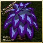 LW_ Potted Coleus Plant Mesh - Magenta 1