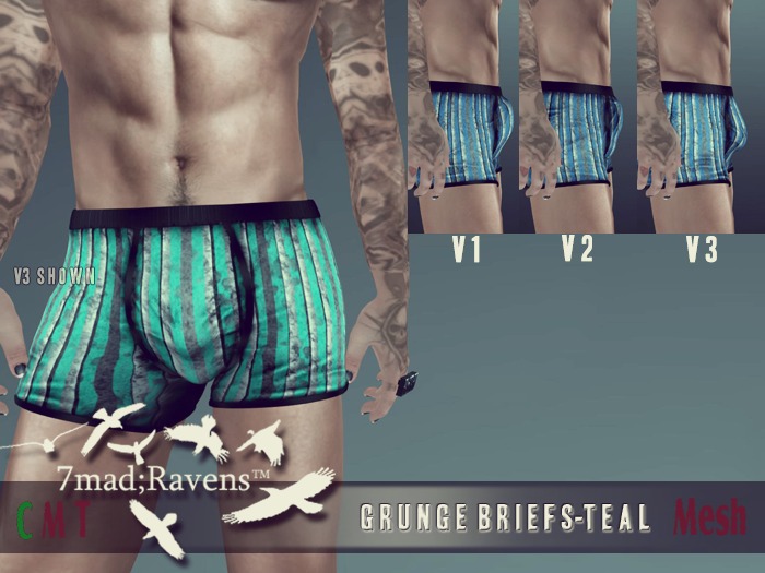 7mad;Ravens Grunge Briefs-Teal Stripe
