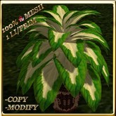 LW_ Potted Coleus Plant Mesh - Green 1