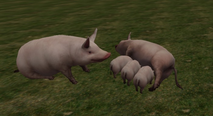 pig an piglets 5prim