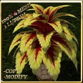 LW_ Potted Coleus Plant Mesh - Blue 1