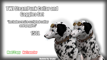 !CS! TWI SteamPunk Goggles and Collar