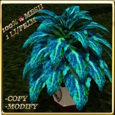 LW_ Potted Coleus Plant Mesh - Blue 1