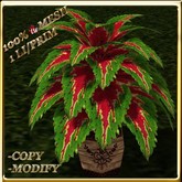 LW_ Potted Coleus Plant Mesh - Blue 1