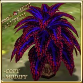 LW_ Potted Coleus Plant Mesh - Blue 1