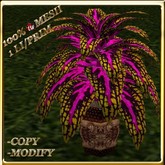 LW_ Potted Coleus Plant Mesh - Blue 1