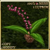 LW_ Potted Coleus Plant Mesh - Blue 1