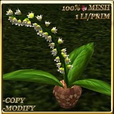 LW_ Potted Coleus Plant Mesh - Blue 1
