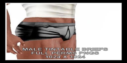 + Male Tintable Briefs + FULL PERMS PNG