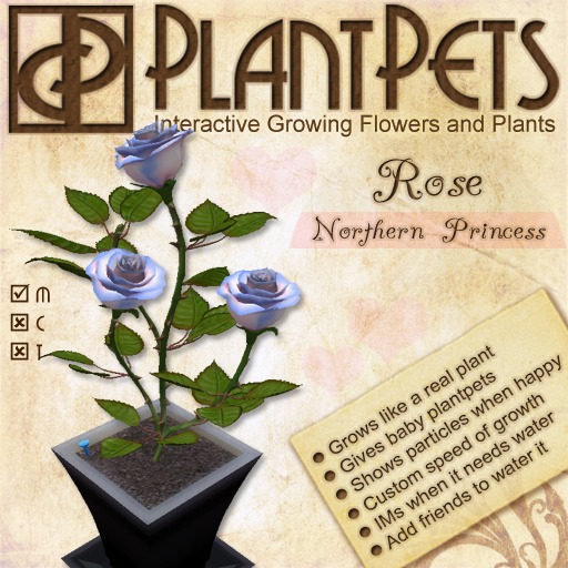 PlantPet Seed [Rose *Northern Princess*]