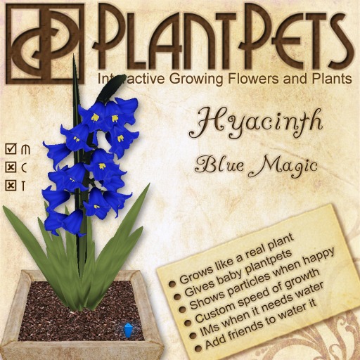 PlantPet Seed [Rose *Moonstone*]