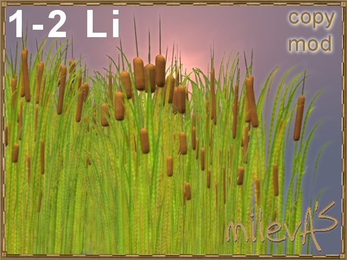 milevA's 3D g10 Cattail Reed 01