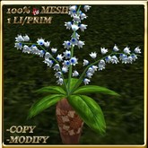 LW_ Potted Lily of Valley Mesh - White Blue (1 LI / Prim)