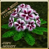 LW_PrimroseVase2-Purple3