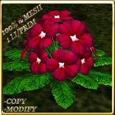 LW_ Primrose Plant Mesh - Red 3 (1 LI / Prim)