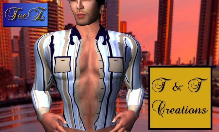 T & T Sharp, Multi-colored, Striped, Open Shirt 2
