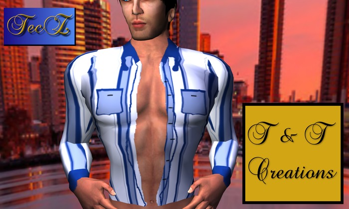 T & T Sharp, Multi-colored, Striped, Open Shirt 3
