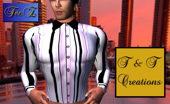 T & T Casual Vertical Stripes