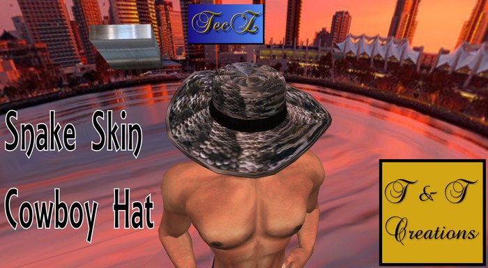 T & T Snake Skin Cowboy Hat