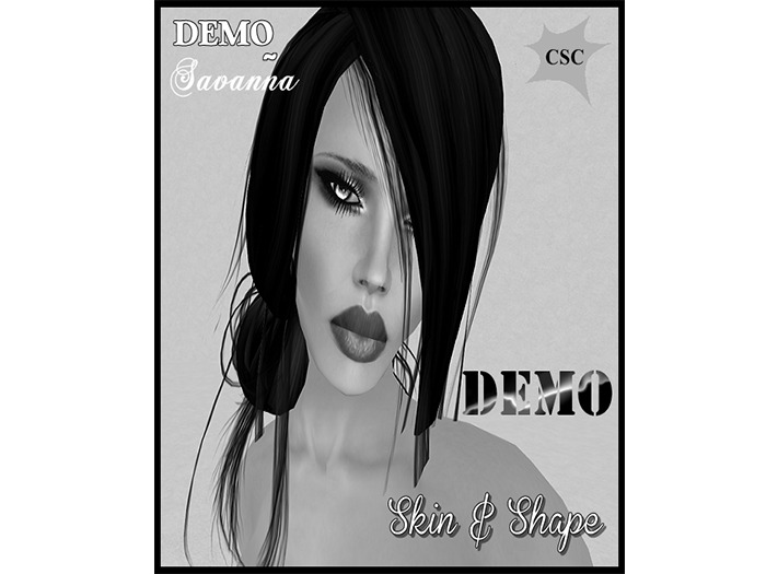 Sculpted Fireplace CS