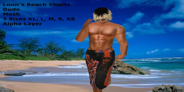 Loon's Beach Short  Dude  