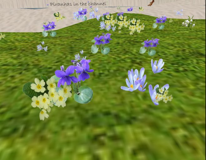 early spring flowers grower