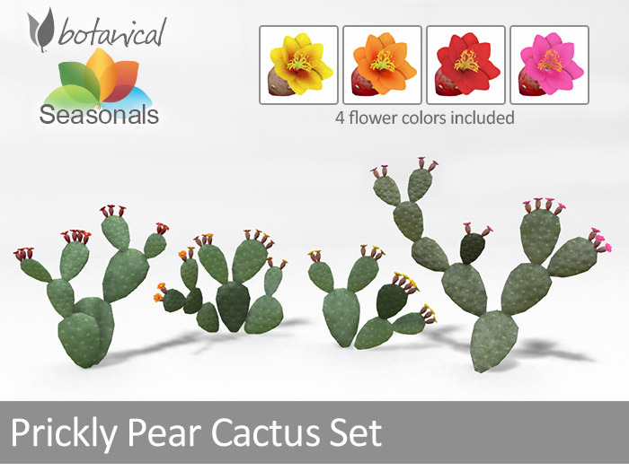 Botanical Prickly Pear Cactus Set